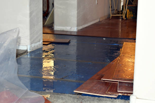 Professional Water Extraction technician working in Easton, CA